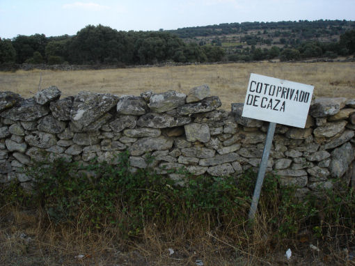 Cacciare a Minorca